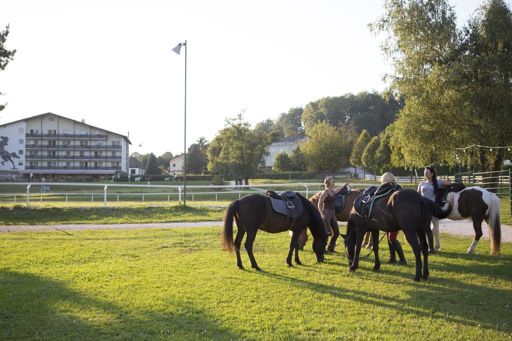 Hotel Reitzentrum Hausruckhof Ampflwang im Hausruckwald Eksteriør bilde